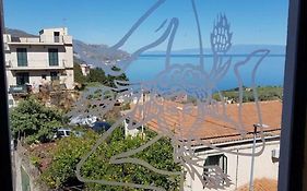 Central Panoramic